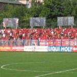 zeljvelez06-07_1